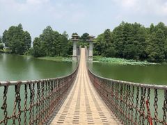 -东湖落雁景区