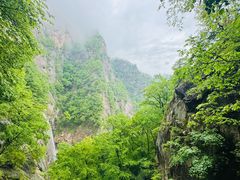 -洛阳白云山景区