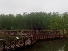 -合肥滨湖国家森林公园