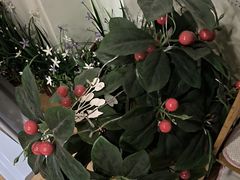 -炎钬堂亚健康管理(白银路店)