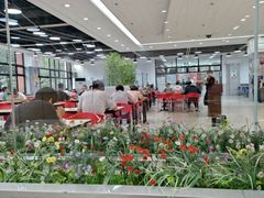 -清华大学-观畴园餐厅
