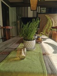 -青青一生美皮肤管理