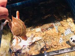 -五月罗马海鲜自助餐厅(陆家嘴店)