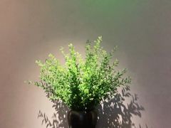 -山里亲戚(淞虹路店)
