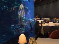 -迪拜帆船酒店海底餐厅