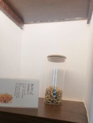 -梵茜儿·头道汤养生馆