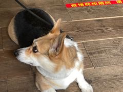-小巨场咖啡