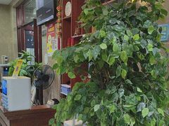 -微山岛春天里酒家