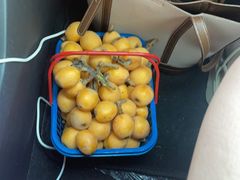 -塘栖枇杷特色园区