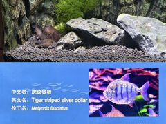 -上海海洋水族馆