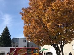 -金泽21世纪美术馆