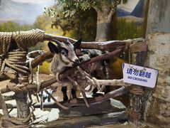 -正佳雨林生态植物园