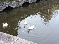 -苏州文庙(姑苏区)