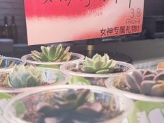 -JINNS锦时 steak&pizza(浸信会礼拜堂旧址店)