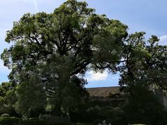 -八大山人梅湖景区