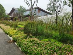 -东平国家森林公园