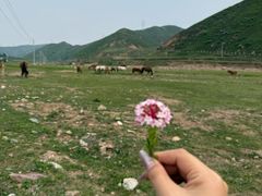 -芦芽山旅游度假区