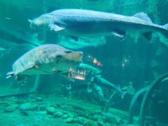 -华夏文旅海洋公园