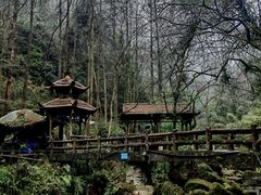 -青城山