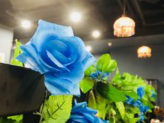 门面-TUK土耳其餐厅·下午茶(卢湾店)