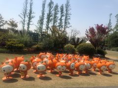 -上海长兴岛郊野公园