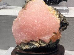 -湖南省地质博物馆