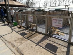 -萌宠亲子动物乐园(槐房万达店)