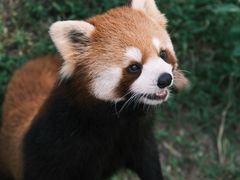 -杭州少年儿童公园