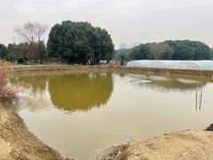 -胜丰草莓采摘园