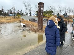 -盐城丹顶鹤湿地生态旅游区
