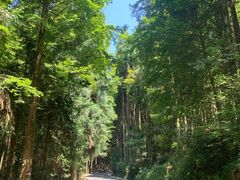 -山王坪喀斯特国家生态公园