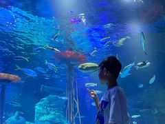 -沈阳海洋探索中心