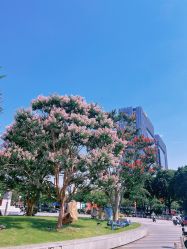 -章光101防脱养发荟