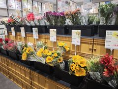 -鹿岛会员店(熙地港店)