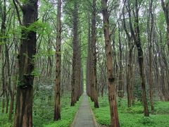 -同里国家湿地公园