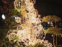 -T館·花园艺术餐厅