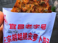 -半月镰胡姐脆皮萝卜饺子