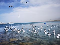 -青海湖二郎剑景区