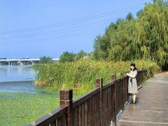 -永定河休闲森林公园