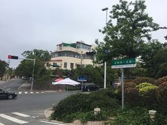 -八大关景区