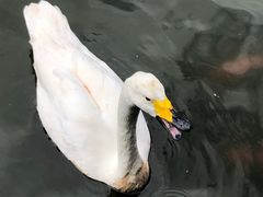 -海南热带野生动植物园