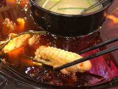 -重庆烧鸡公火锅(簋街店)