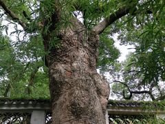 -惠山古镇·寄畅园