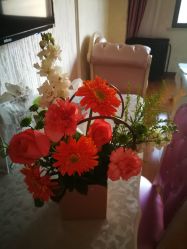 -东方幸福国际母婴月子会所(沙湾公园店)