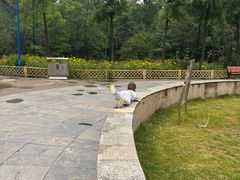 -森林公园(尖草坪区)