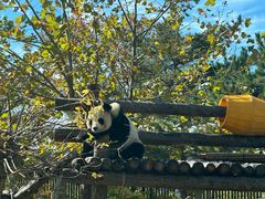 -大连森林动物园