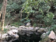 -临安城遗址(太庙遗址)