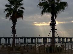 -宝安西湾红树林湿地公园