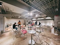 -浣熊柯尔鸭土拨鼠·电玩咖