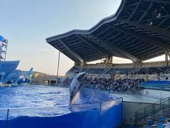-上海海昌海洋公园